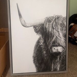 Highland Cow Canvas Wall Art